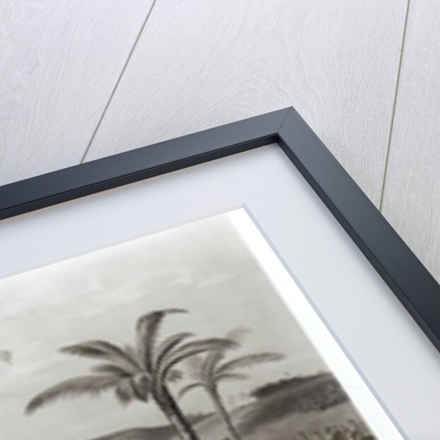 How the Day was Won by American School