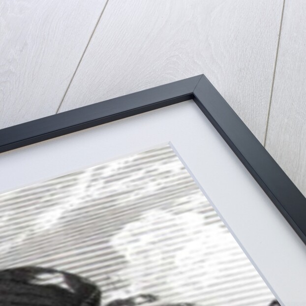 The Heroism of Sergeant William Jasper in Defence of Fort Moultrie, South Carolina, 12th May 1780 by Johannes Adam Simon Oertel (after)