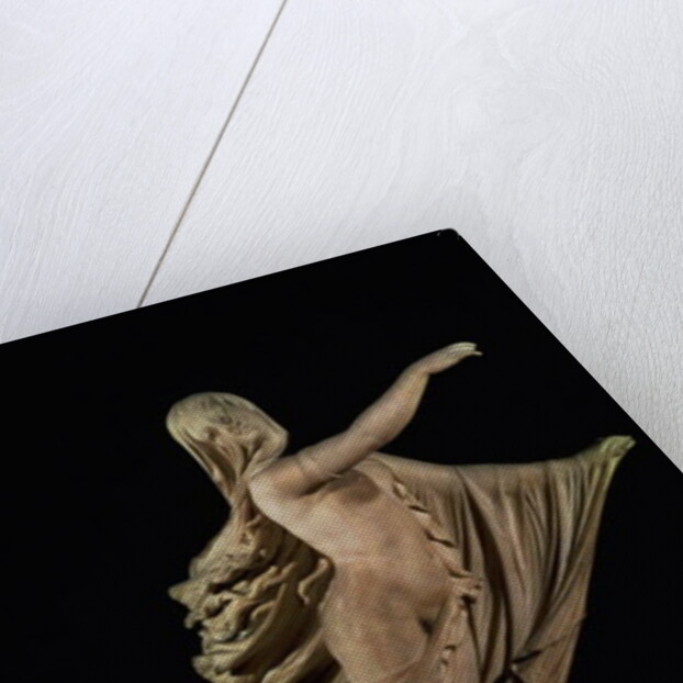 The Sleep of Sorrow and The Dream of Joy by Raffaele Monti