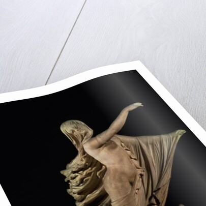 The Sleep of Sorrow and The Dream of Joy by Raffaele Monti
