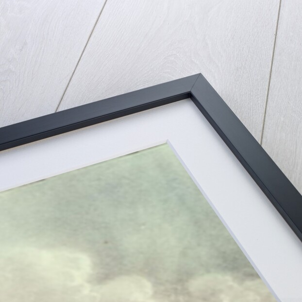 Landing of the American Force at Vera Cruz, under General Scott, March 1847 by N. and Ives J.M. (1824-95) Currier