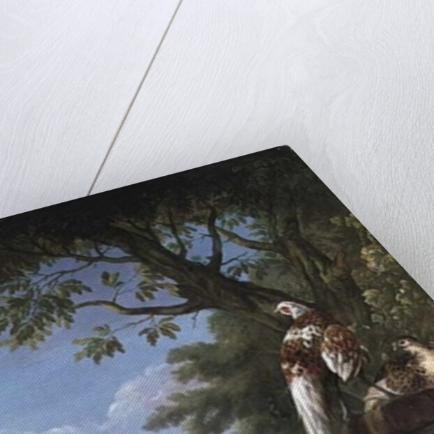 Group of Exotic Birds by Pieter Casteels