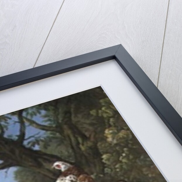 Group of Exotic Birds by Pieter Casteels