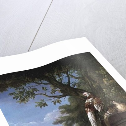 Group of Exotic Birds by Pieter Casteels