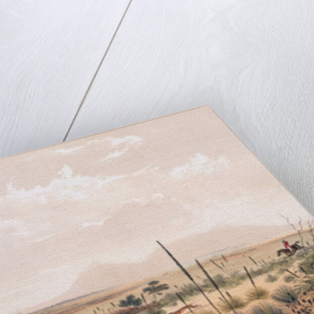 Kangaroo Hunt by George French Angas