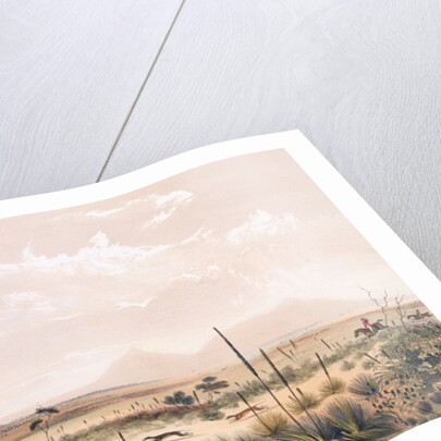 Kangaroo Hunt by George French Angas