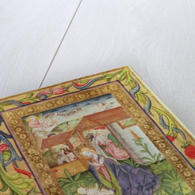 Codex Ser Nov 2599 f. 39v The Birth of Christ by German School