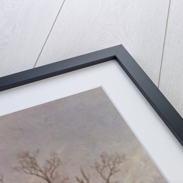 Winter in Holland by Remigius van Haanen