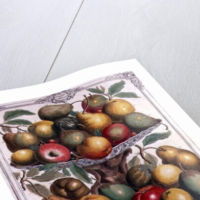 February by Pieter Casteels (after)