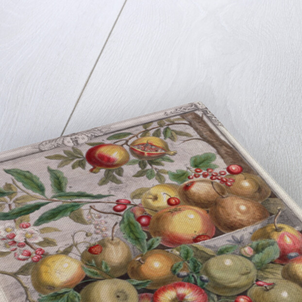 May by Pieter Casteels