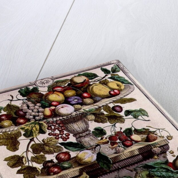 June by Pieter Casteels (after)