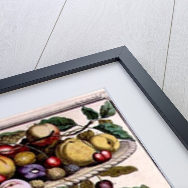 June by Pieter Casteels (after)