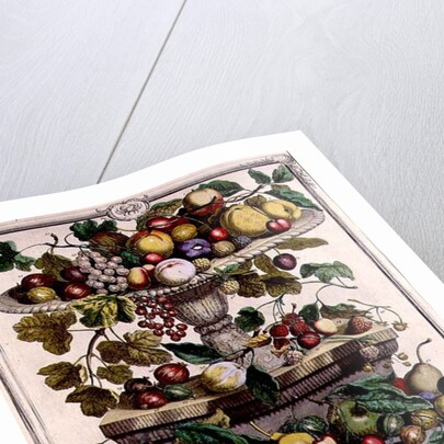 June by Pieter Casteels (after)