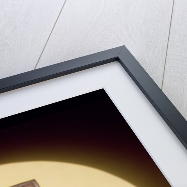 Typical Moroccan Window by Anonymous