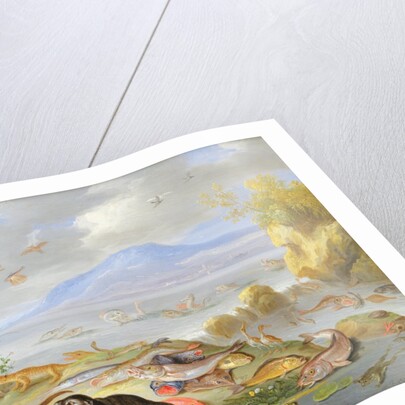 The Element of Water, 1660 by Jan van the Elder Kessel