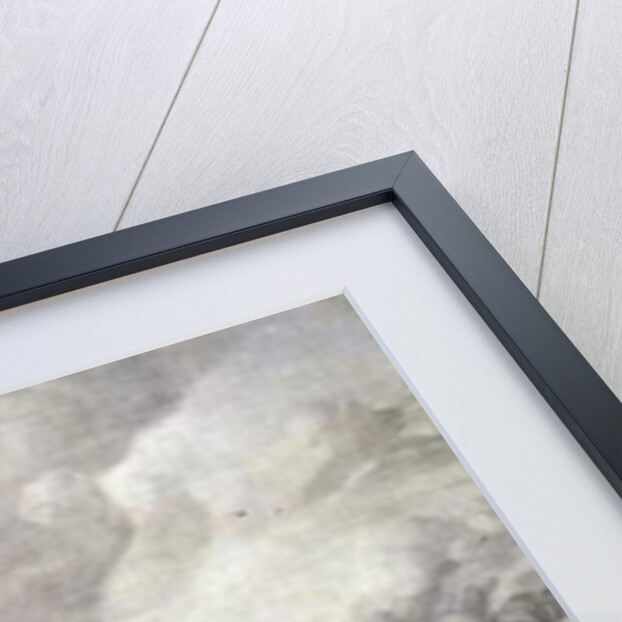 The Battle of La Hogue, 19-24 May 1692 by Adriaen or Abraham Salm