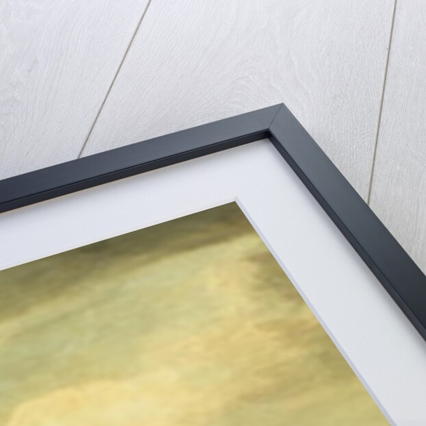 View of the City from the Terrace of Somerset House by Paul Sandby