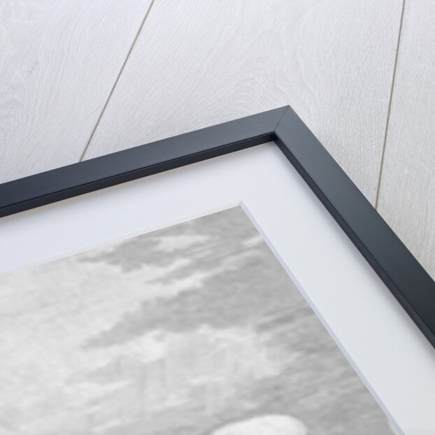 The monitor 'Weehawken' capturing the Confederate iron-clad ram 'Atlanta' Wassaw Sound, Georgia, 17th June 1863 by Julian Oliver Davidson