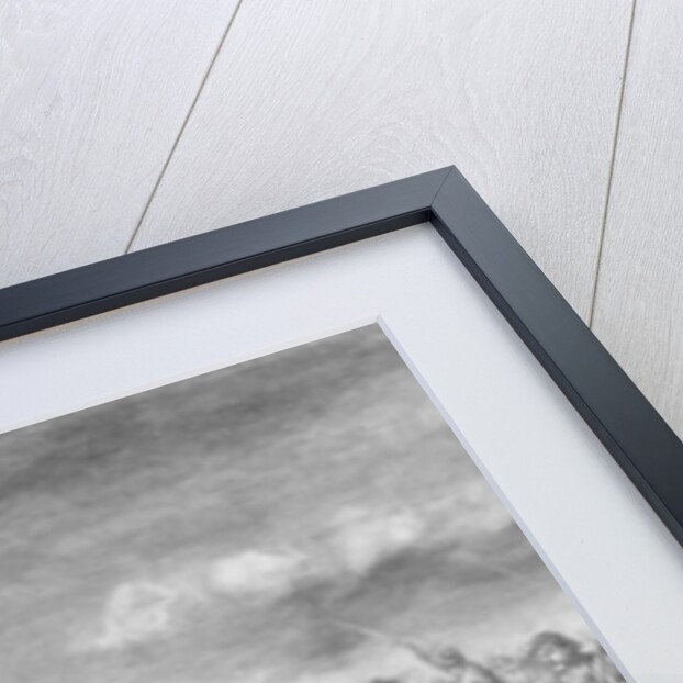 The Battle of the Crater by John Adams Elder