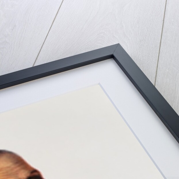 Red Jacket, Seneca War Chief, 1828 by Charles Bird King