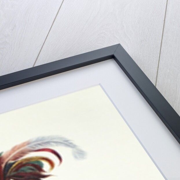 Ki-On-Twog-Ky or 'Complanter', a Seneca Chief, 1796 by F. Bartoli