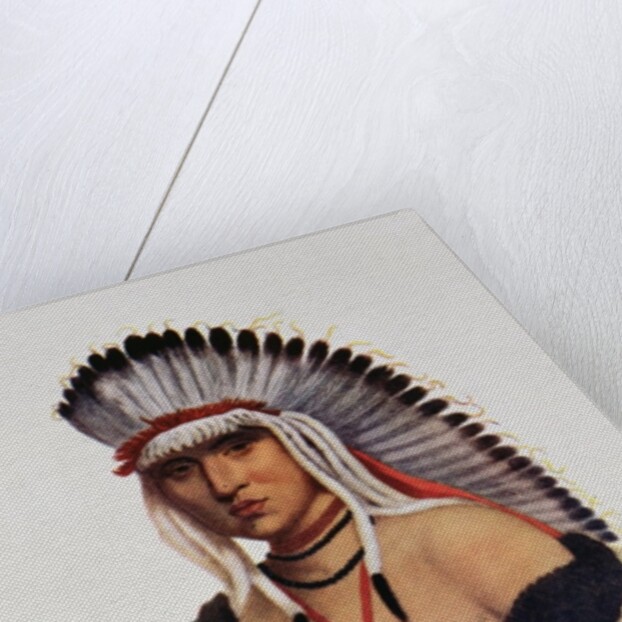 Petalesharro, a Pawnee Brave by American School