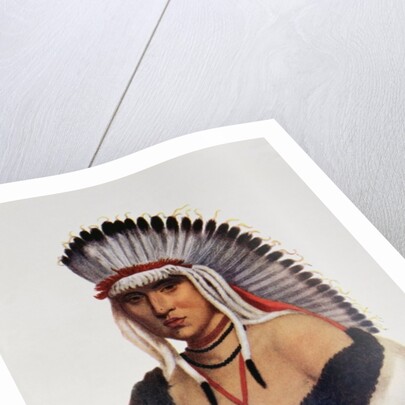 Petalesharro, a Pawnee Brave by American School