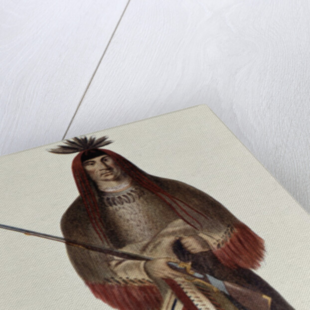 Wa-Na-Ta or 'The Charger', Grand Chief of the Sioux or Dakota Indians, painted 1926 by Charles Bird King