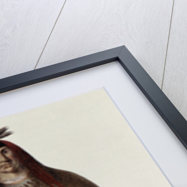 Wa-Na-Ta or 'The Charger', Grand Chief of the Sioux or Dakota Indians, painted 1926 by Charles Bird King