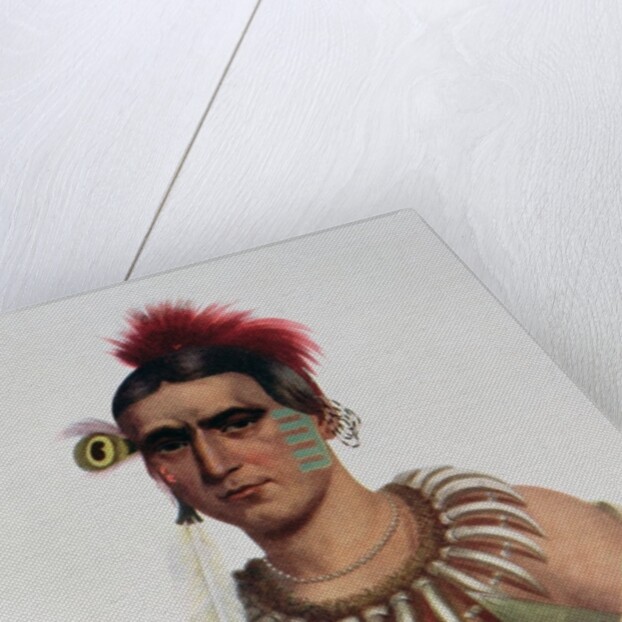 Ma-Has-Kah or 'White Cloud', an Iowa Chief by American School