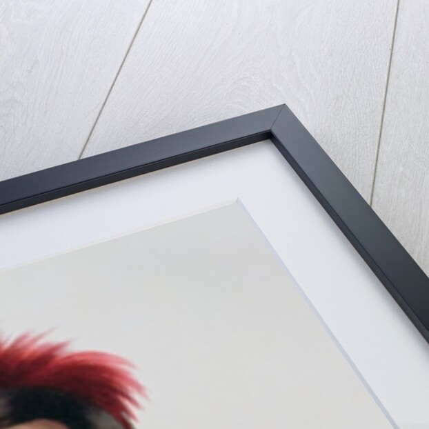 Ma-Has-Kah or 'White Cloud', an Iowa Chief by American School