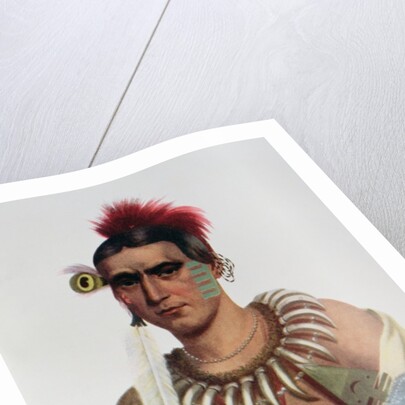 Ma-Has-Kah or 'White Cloud', an Iowa Chief by American School