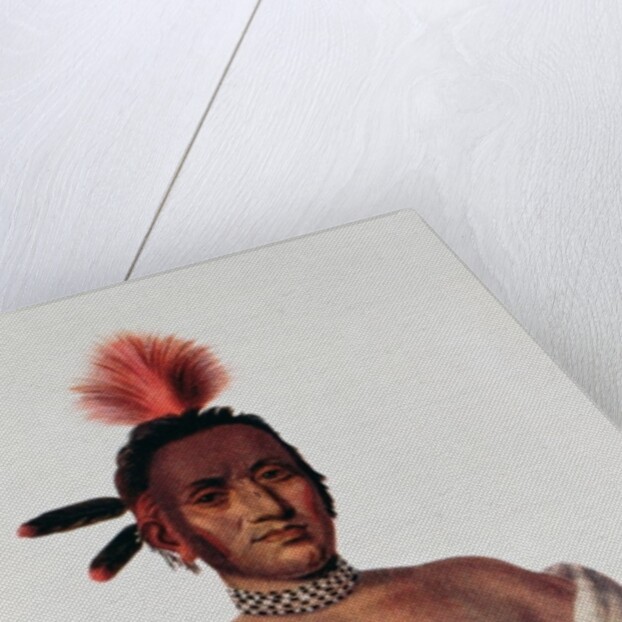 Moa-Na-Hon-Ga or 'Great Walker', an Iowa Chief, 1824 by Charles Bird King