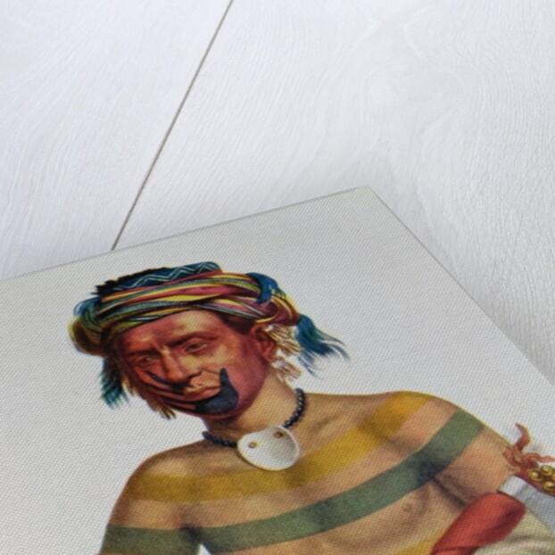 Shau-Hau-Napo-Tinia, an Iowa Chief, 1837 by Charles Bird King