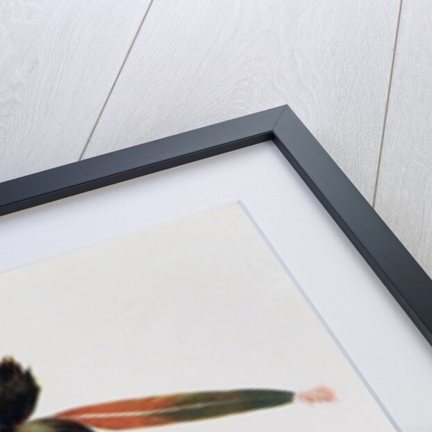 To-Ka-Cou, a Yankton Sioux Chief, 1837 by George Cooke