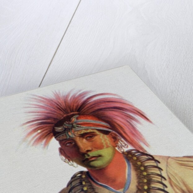 Nowaykesugga, an Otto by Charles Bird King