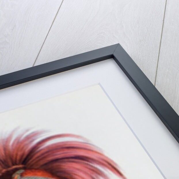 Nowaykesugga, an Otto by Charles Bird King