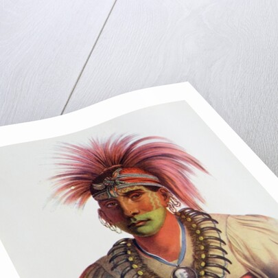 Nowaykesugga, an Otto by Charles Bird King