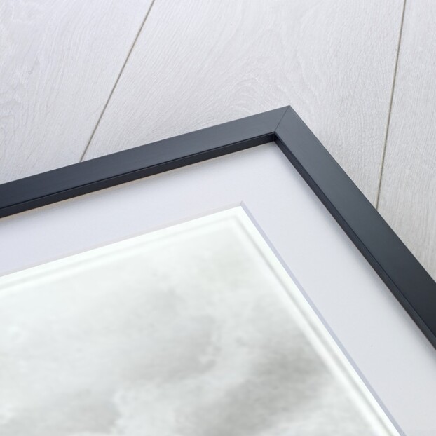 The Washington Monument and Surroundings, North View by American School