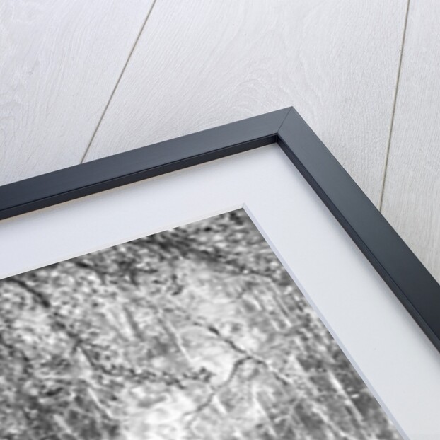 Moravian Missionaries Among the Indians by American School