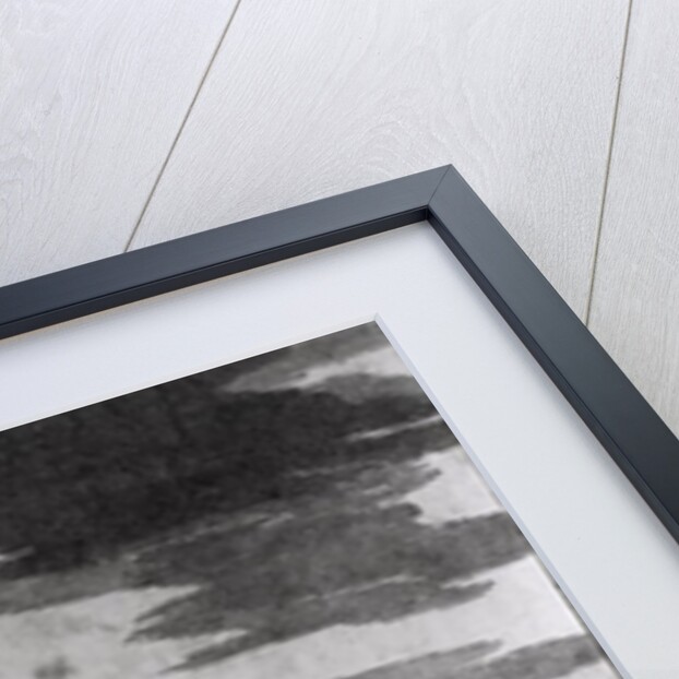 Arrival of the English at Roanoke, 1587, from Justin Winsor's 'Narrative and Critical History of America', 1831 by American School