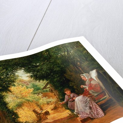 Young Lady Bountiful by Richard Redgrave