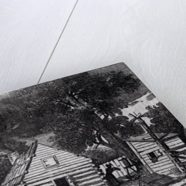 African American Cabin by American School