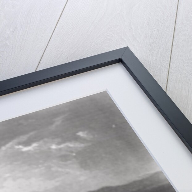 Golden Gate, from Telegraph Hill by James David Smillie