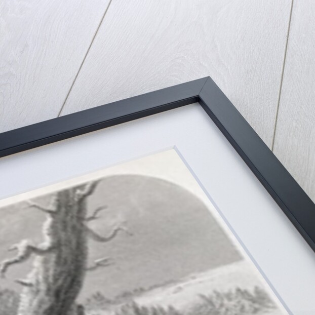 Roger Williams sheltered by the Narragansetts, 1636 by A. H. Wray