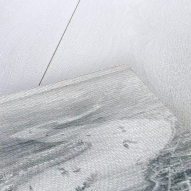 Bird's-Eye View of New Orleans by J. Wells