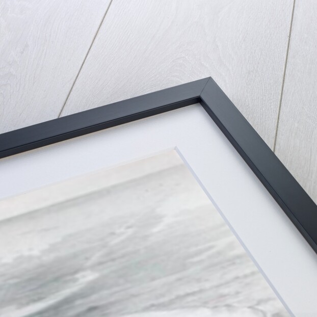 Bird's-Eye View of New Orleans by J. Wells