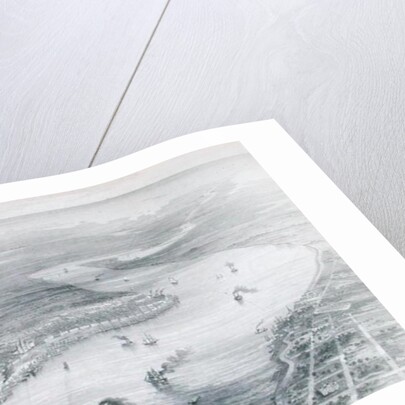 Bird's-Eye View of New Orleans by J. Wells