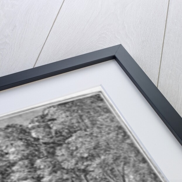 South View of the Friends' Meeting House, Pomfret by American School