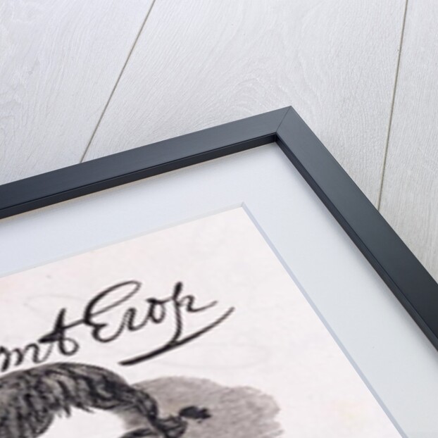 Portrait of John Winthrop from 'Connecticut Historical Collections', by John Warner Barber, 1856 by American School